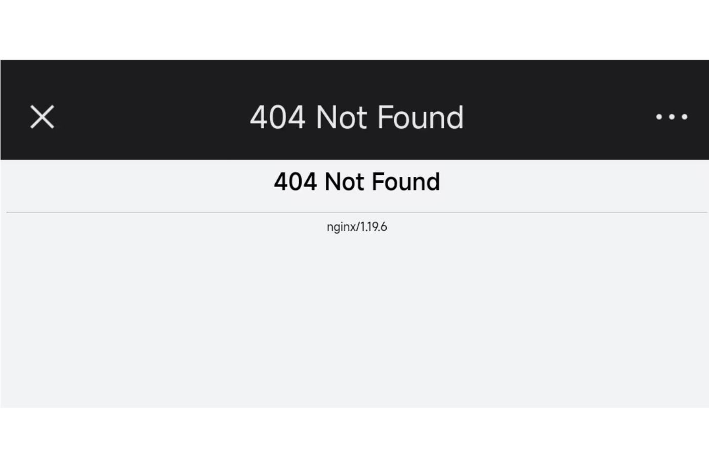验证404